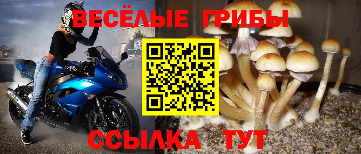 Галлюциногенные грибы GOLDEN TEACHER Нефтеюганск