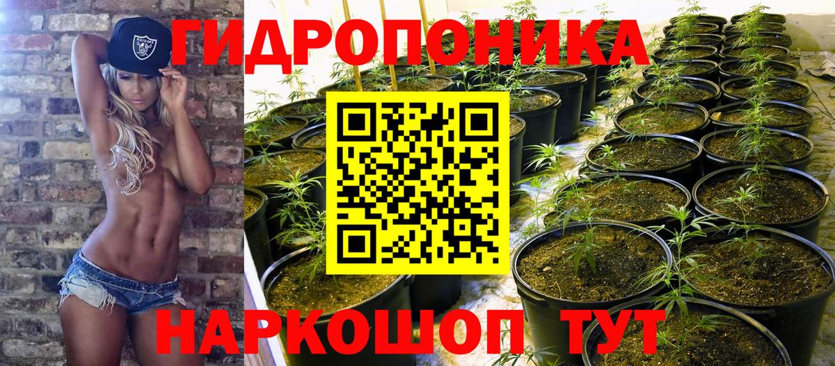 Бошки марихуана Bruce Banner  Шишки марихуана тримм  Нефтеюганск  Вход с VPN  Бошки марихуана конопля 